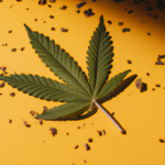 Cannabis en la economía: Un análisis de su impacto en la industria verde